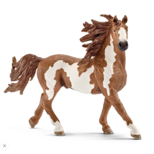 Image de Étalon Pinto Schleich