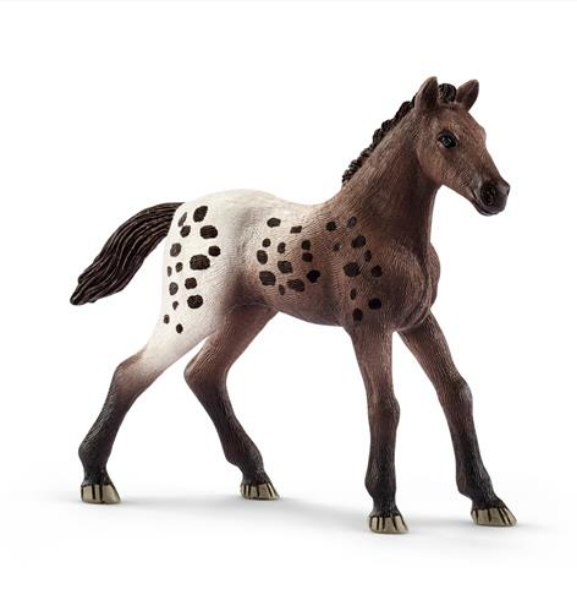 Image de Poulain Appaloosa Schleich