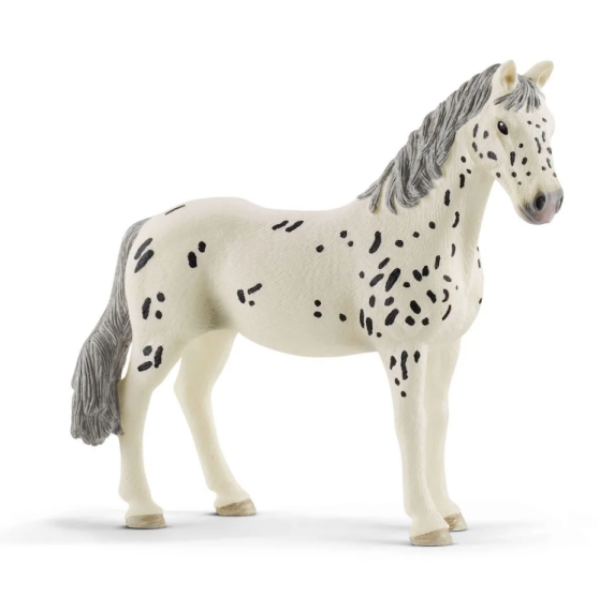 Image de Poulain Knabstrupper Schleich