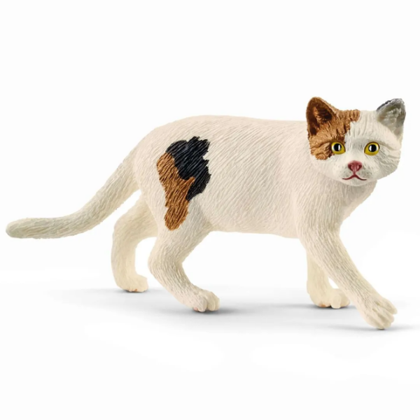 Image de American Shorthair Schleich