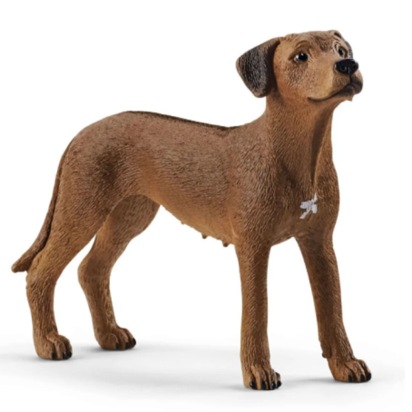 Image de Chien De Rhodésie À Crête Dorsale Schleich