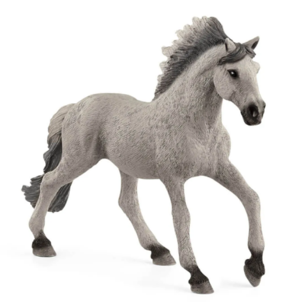 Image de Etalon Mustang Sorraia Schleich