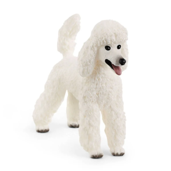 Image de Caniche Schleich