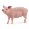 Image de Cochon Schleich