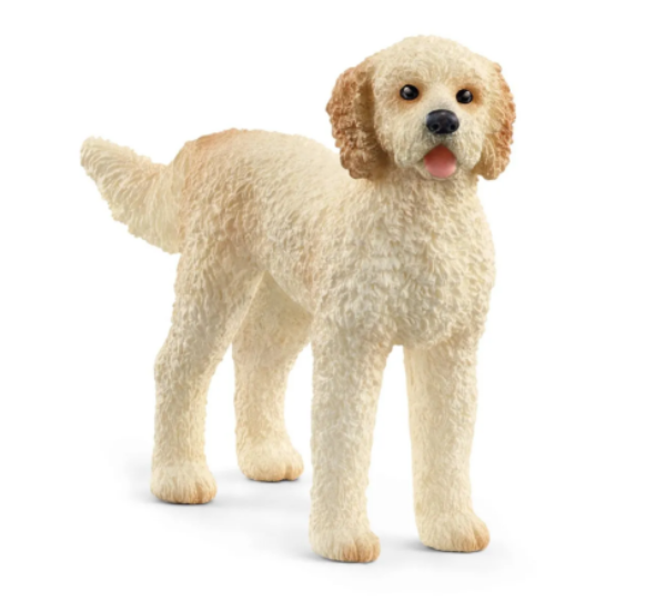 Image de Chien Goldendoodle Schleich