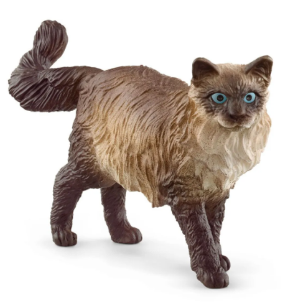 Image de Chat Ragdoll Schleich