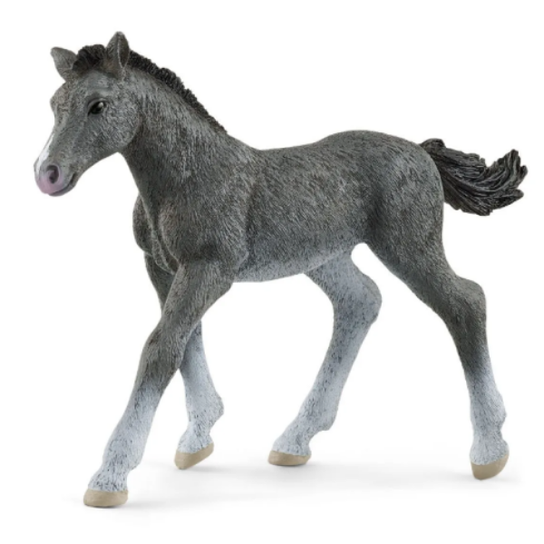 Image de Poulain Trakehnen Schleich