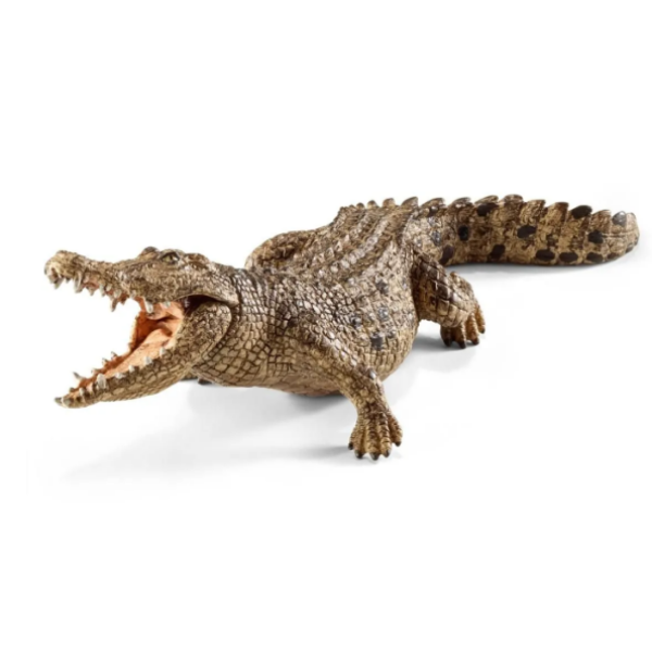 Image de Crocodile Schleich