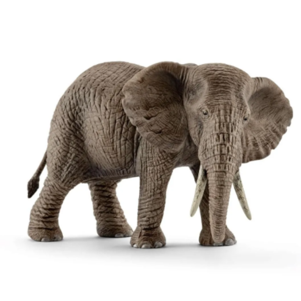 Image de Éléphant D'Afrique Femelle Schleich