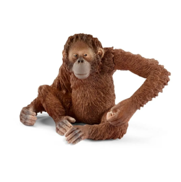 Image de Orang-Outan, Femelle Schleich