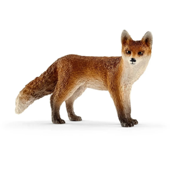 Image de Renard Schleich