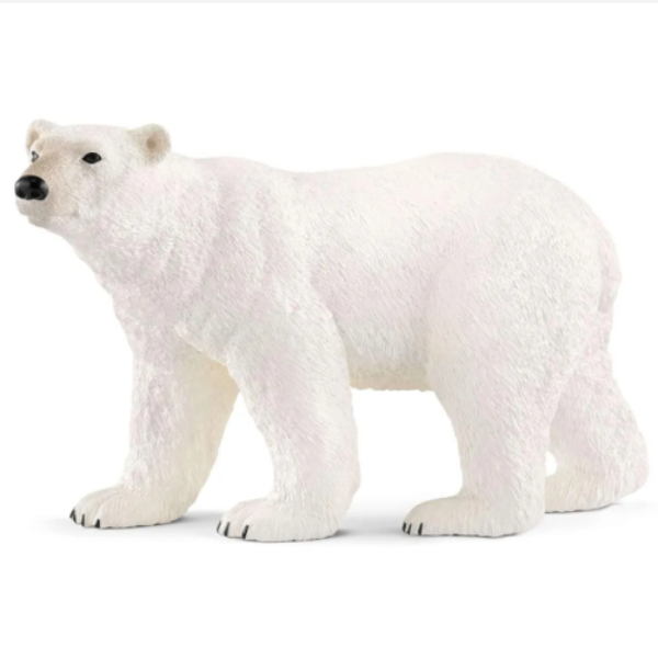 Image de Ours Polaire Schleich