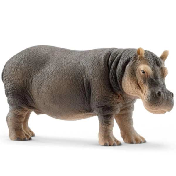 Image de Hippopotame Schleich