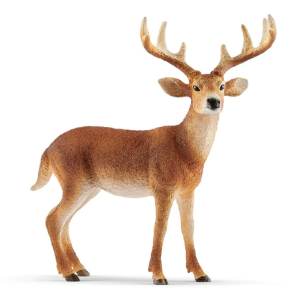 Image de Cerf De Virginie Schleich