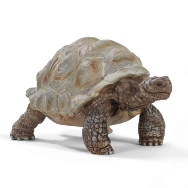 Image de Tortue Géante Schleich