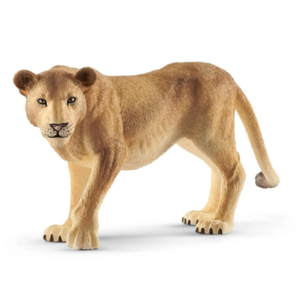 Image de Lionne Schleich