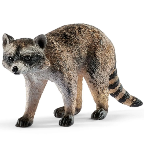 Image de Raton Laveur Schleich