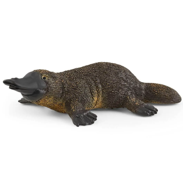 Image de Ornithorynque Schleich