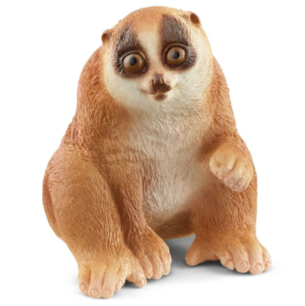 Image de Nycticèbe Schleich