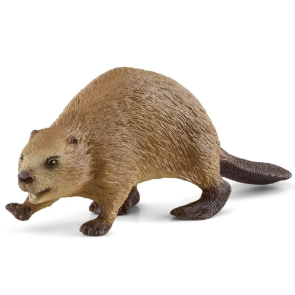 Image de Castor Schleich