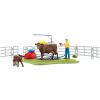 Image de Station De Lavage Pour Vaches Schleich