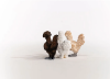 Image de Poules Amies Schleich