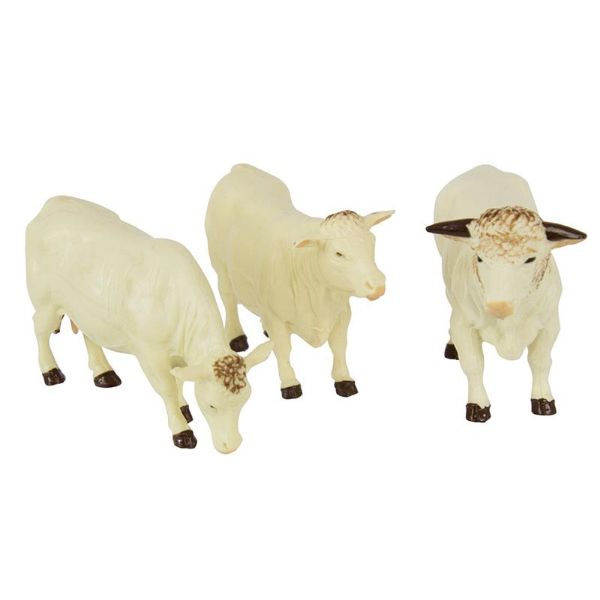 Image de Charolais vaches 1:32