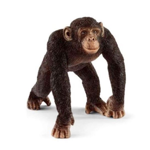 Image de Chimpanze mâle Schleich
