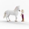 Image de SOFIA & BLOSSOM HORSE CLUB Schleich
