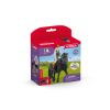 Image de HORSE CLUB TORI & PRINCESS Schleich