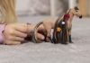 Image de Étalon Akhal-Teke Beauty Horse Schleich