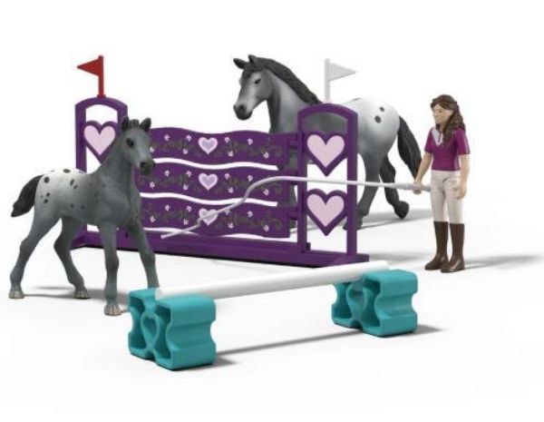 Image de L’entraînement au tournoi de Lisa Schleich