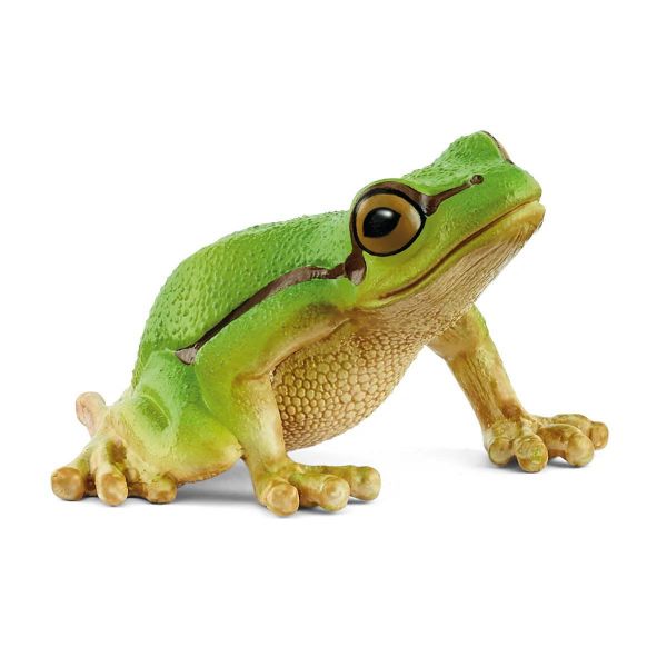 Image de Rainette Verte Schleich