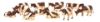 Image de 12 Vaches Montbéliardes KIDS GLOBE 571968 1:32