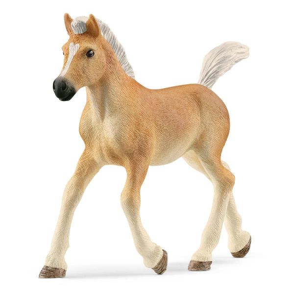 Image de Poulain Haflinger Schleich
