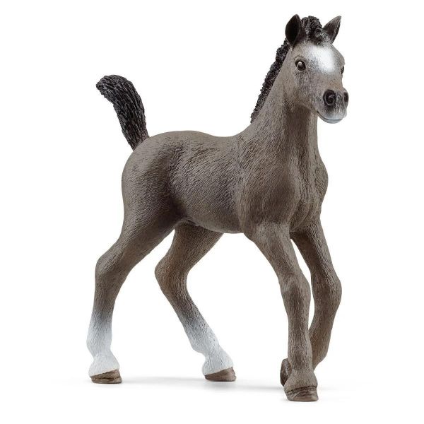 Image de Poulain Selle Français Schleich