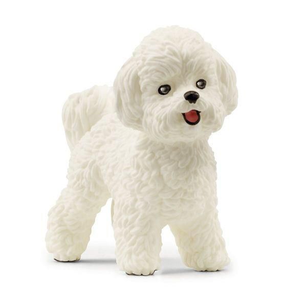 Image de Bichon Frisé Schleich