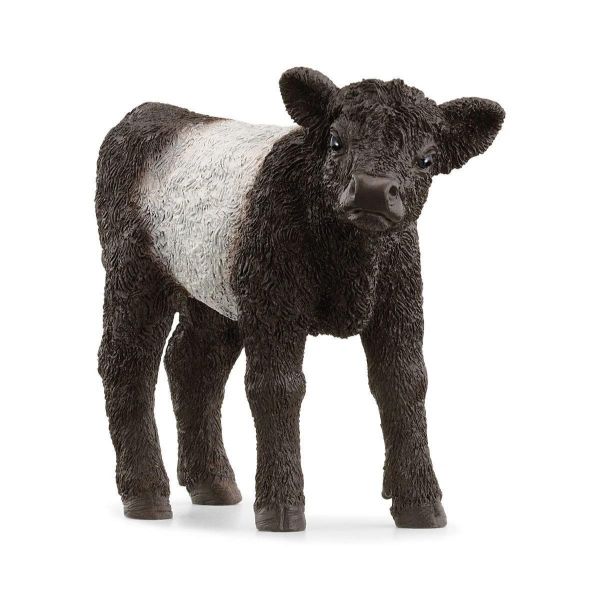 Image de Veau Galloway Schleich