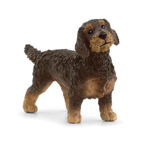Image de Teckel à poil dur Schleich