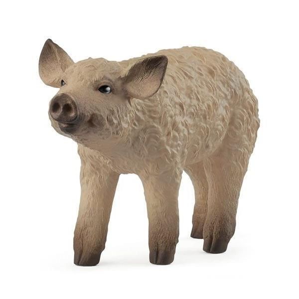 Image de Porcelet Mangalica Schleich