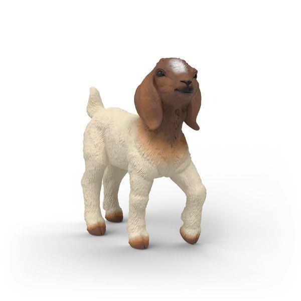 Image de Chevreau Boer Schleich