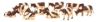 Image de 12 Vaches Montbéliardes KIDS GLOBE 571968 1:32