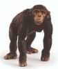 Image de Chimpanzé Schleich