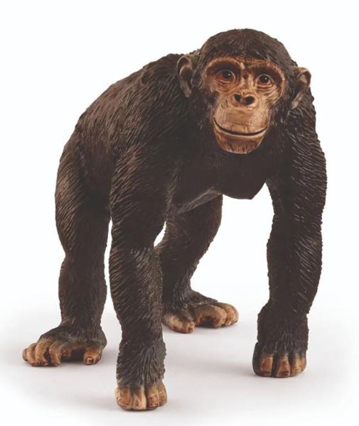 Image de Panthère noire Schleich