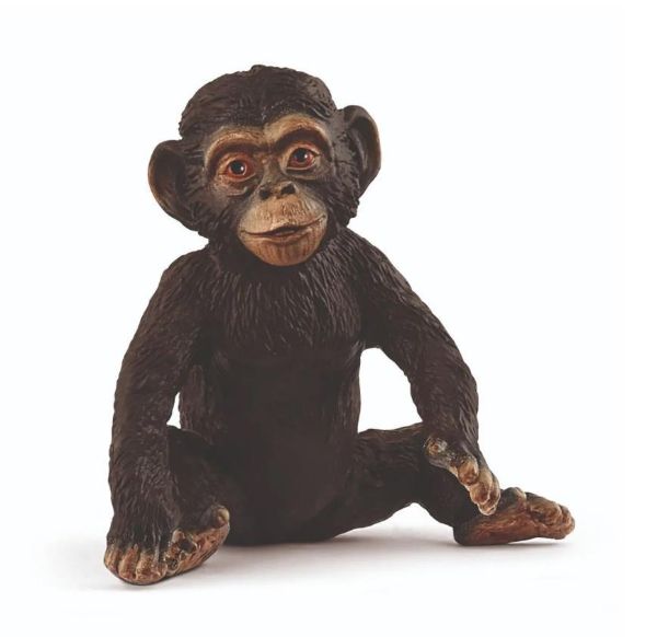 Image de Jeune Chimpanzé Schleich