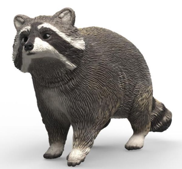 Image de Raton Laveur Schleich
