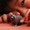 Image de Raton Laveur Schleich