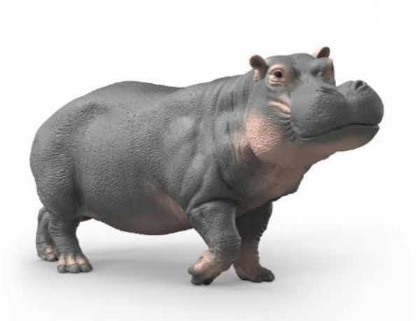 Image de Hippopotame Schleich