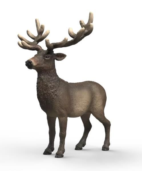 Image de Elan Schleich