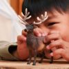 Image de Elan Schleich